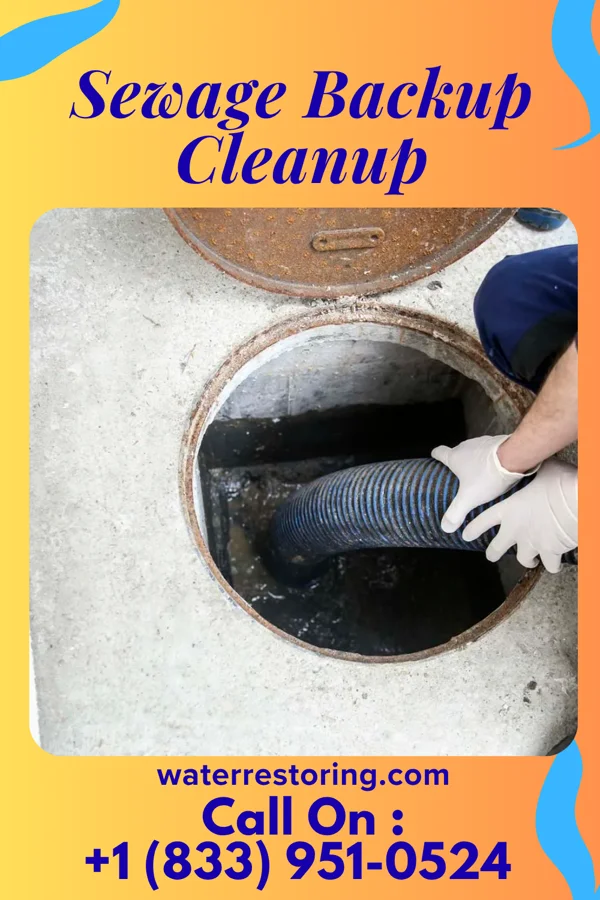 Sewage Backup Cleanup in Murray, IA